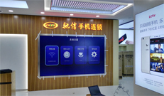 其它项目系统